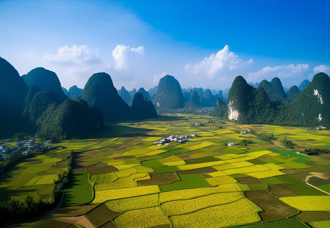 智慧農(nóng)業(yè)補貼政策文件(智慧農(nóng)業(yè)扶持政策)